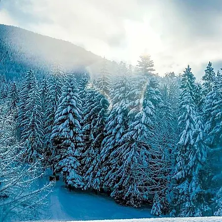 Troyer 4* Trojanovice